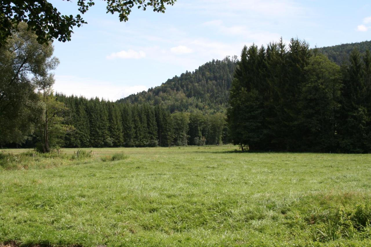 Notre Cachette Bed & Breakfast Biffontaine Bagian luar foto
